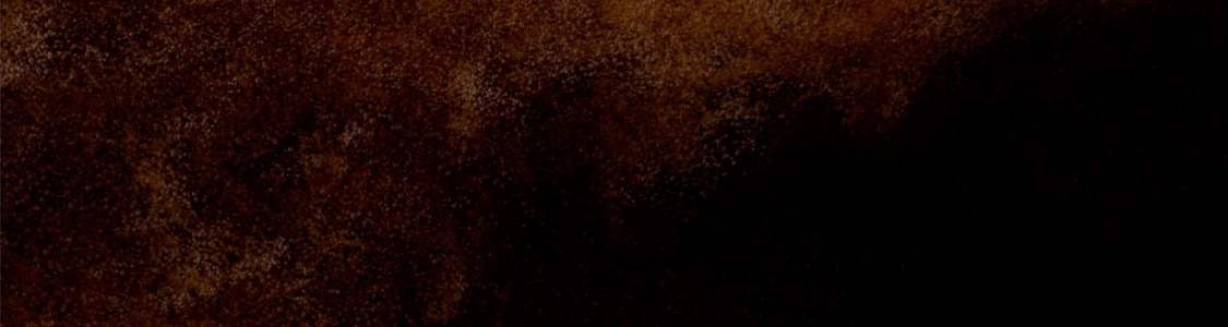 CAPSULES DE CAFÉ ESPRESSO banner