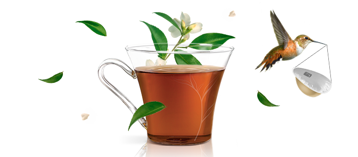 SPECIAL.T® - Capsules de thés chauds et froids | NESCAFÉ® Dolce Gusto® header image