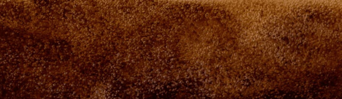CAFÉS LONGS banner