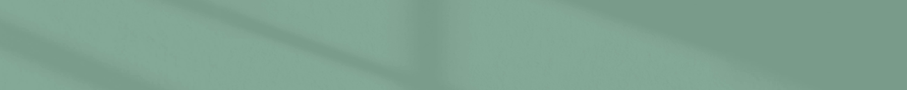 CAPSULES DE THÉS SPECIAL.T® banner