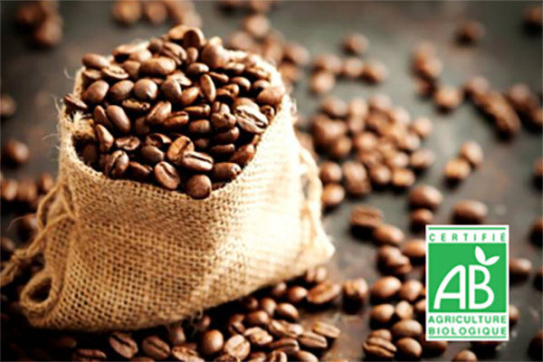 Grains café Bio Dolce Gusto Grains café Bio Dolce Gusto