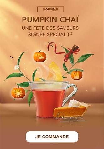 Pumpkin Chai Banner FR