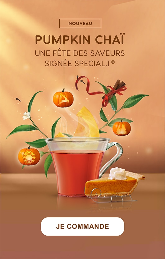 Pumpkin Chai Banner FR