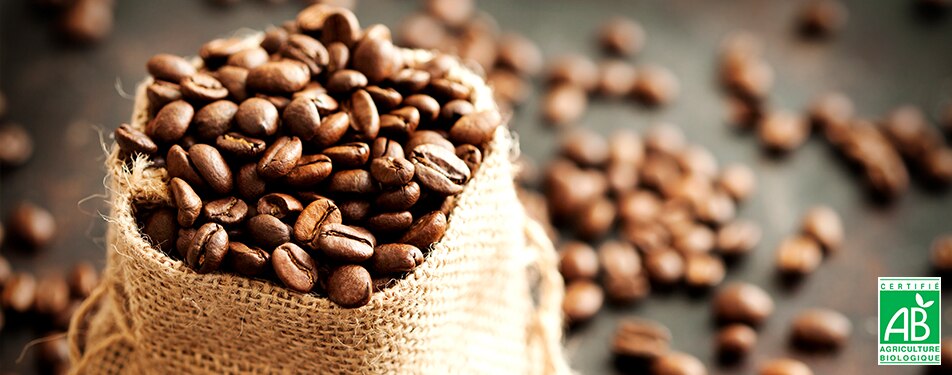 Café Bio