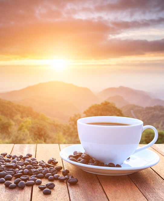 NESCAFÉ PLAN - Les actions