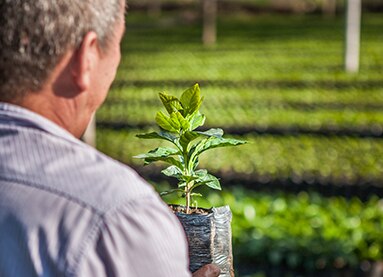 NESCAFÉ PLAN - Les actions