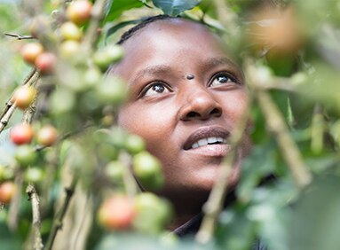 NESCAFÉ PLAN - Les actions