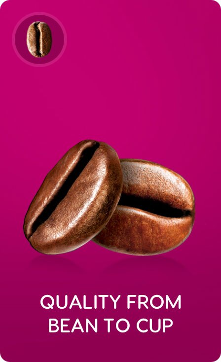 Grain café Nescafé Dolce Gusto Grain café Nescafé Dolce Gusto