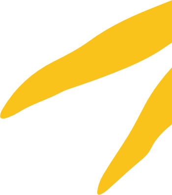 leaf red section two