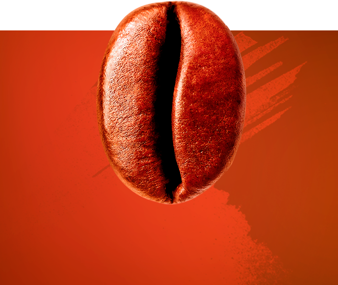 Savoir-Faire Café - NESCAFÉ Dolce Gusto