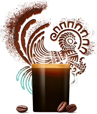 Café bio mexico Dolce Gusto