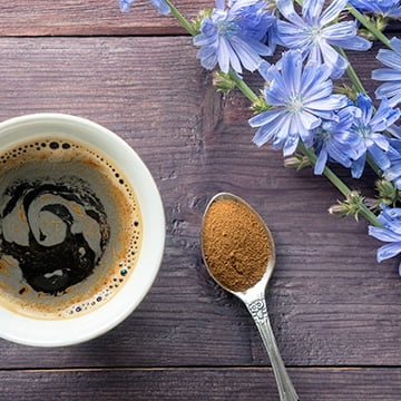 Chicorée Nescafé Dolce Gusto