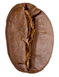 Grain de café Starbucks Nescafé Dolce Gusto