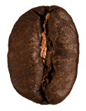 Grain de café Starbucks Nescafé Dolce Gusto