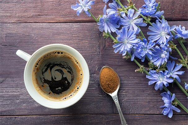 Café à la chicoré