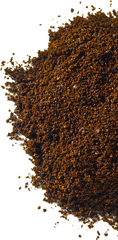 Mouture des grains de café - NESCAFÉ Dolce Gusto
