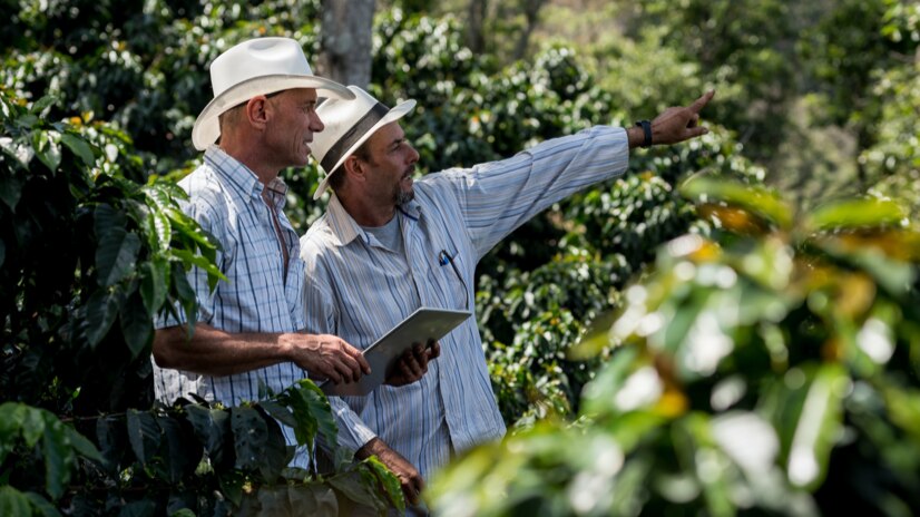 Agriculteurs café Nescafé Dolce Gusto Agriculteurs café Nescafé Dolce Gusto