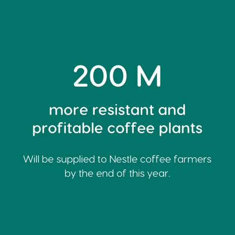Programme agriculteurs Nescafé Dolce Gusto Programme agriculteurs Nescafé Dolce Gusto
